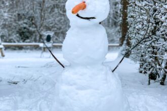 snowman on snow covered ground during daytime
