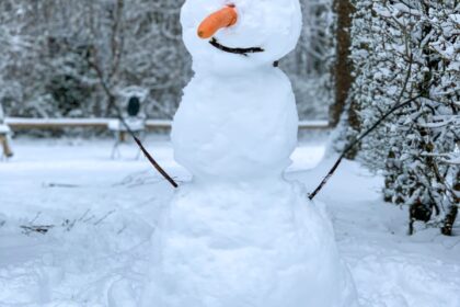 snowman on snow covered ground during daytime